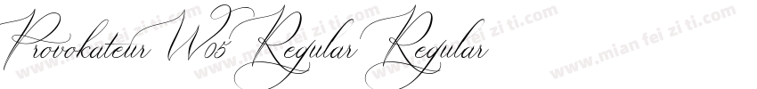 ProvokateurW05 Regular Regular字体转换
